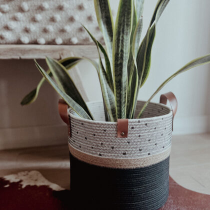 Planters